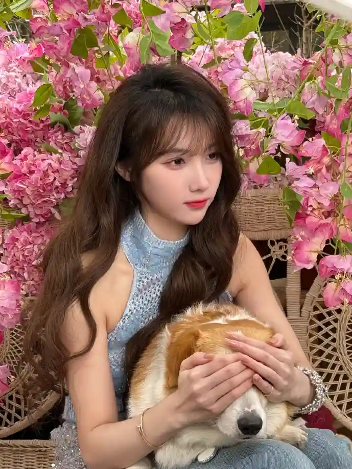 第九大陆下载游戏截图